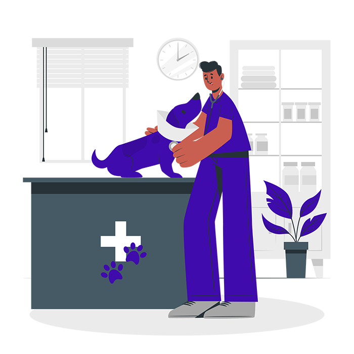 SEO for veterinarians in Valencia CA