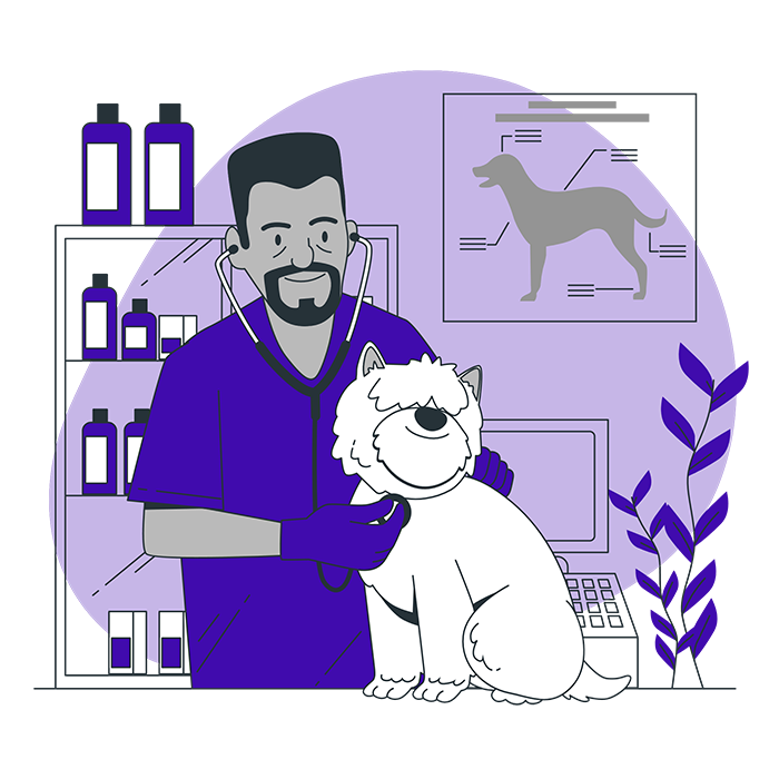 SEO for veterinarians in Valencia CA